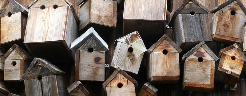 Proper Nest Boxes for Birds