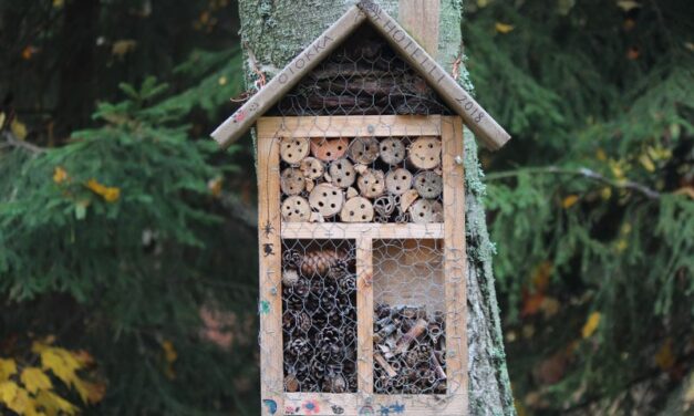 Get Crafty and Create an Insect Hotel to Welcome Garden Bugs