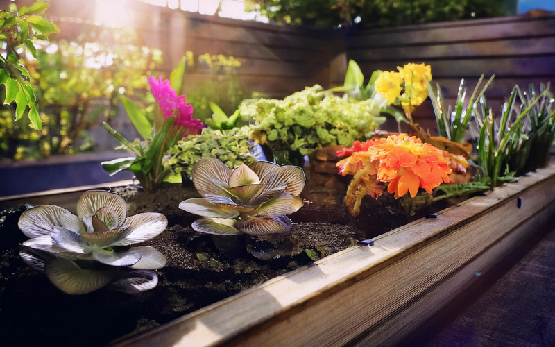 Everything you need to know about the vegetable garden bed