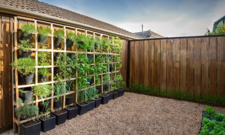 How to start your own vegetable garden vertical setup