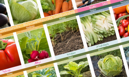 Vegetable growing calendar for the uk: a month-by-month guide