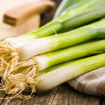 Spring onions: everything you need to know