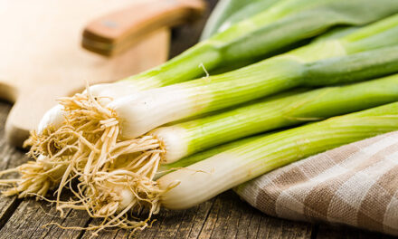 Spring onions: everything you need to know