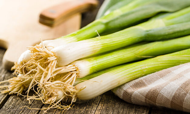 Spring onions: everything you need to know