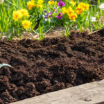 How to prepare your garden for spring planting
